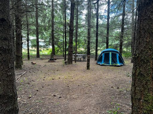 Woodland Tent Setup Blue tent set up in wooded area with tall trees