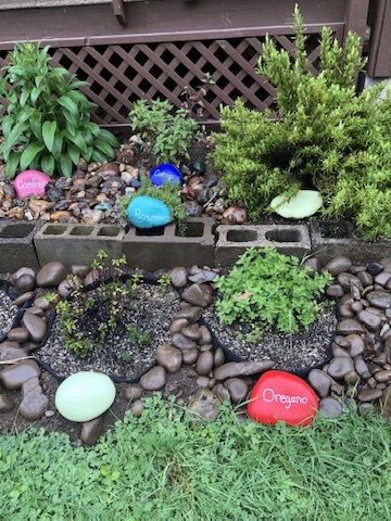 Herb Garden with Painted Stones Small herb garden with labeled painted rocks and greenery