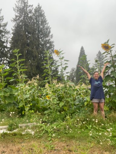 Sunflower Harvest Moment Person standing among tall sunflowers in a garden